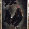 Rooster 01